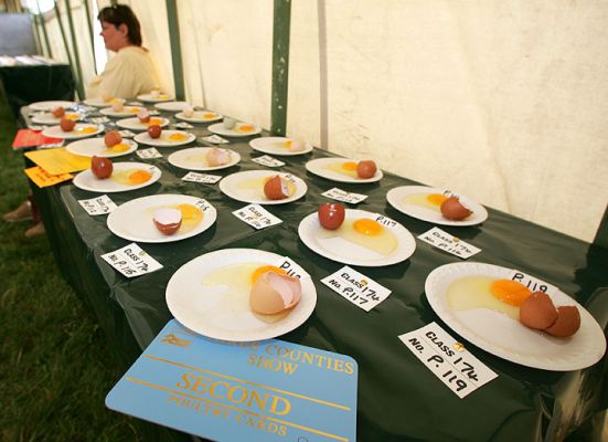 Judging of Eggs
Anahtar kelimeler: judging eggs Three Counties Show