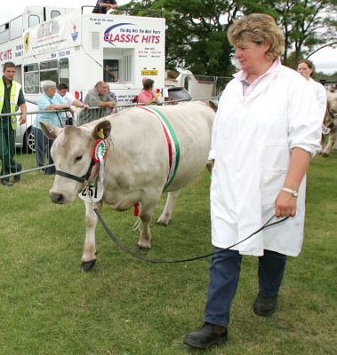 Italian Ribbon
Palabras clave: Italian Three Counties Show