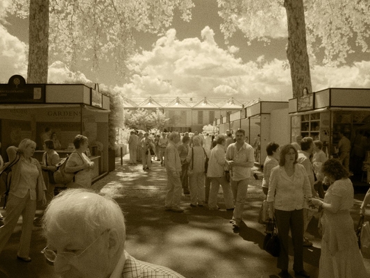 An infra red view at the Chelsea Flower Show - it was actually a lovely day
Keywords: Chelsea Flower Show
