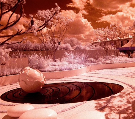 Part of the Daily Telegraph garden at the Chelsea Flower Show in infra red
Schlüsselwörter: Chelsea Flower Show