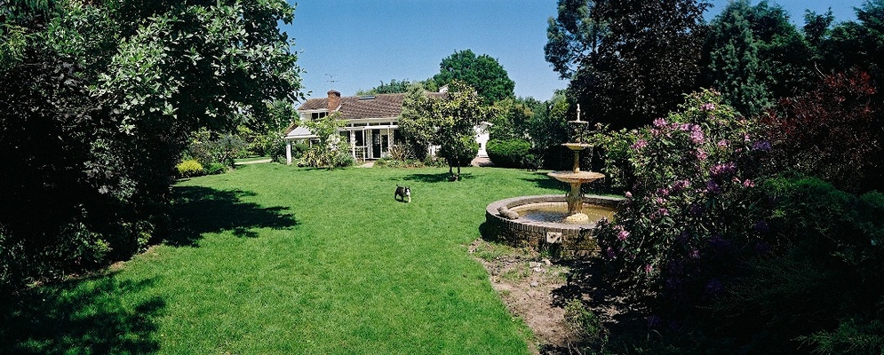 A panoramic view of the garden with Tapa
Palabras clave: English Bull Terrier garden House Tapa Whitecroft