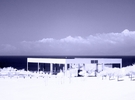 AdamEve-10-IR.jpg