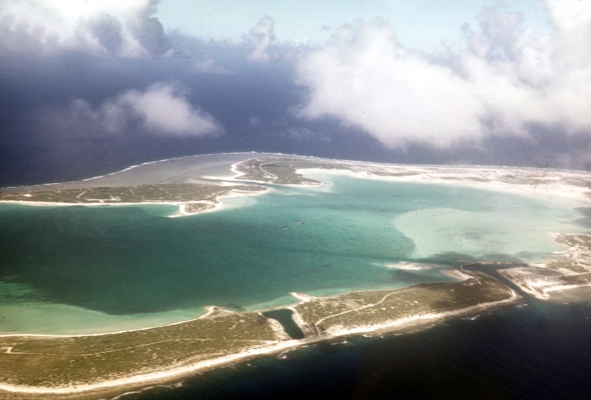 Wake Island from the Air - Circa 1953
Słowa kluczowe: Atoll Atolls Island Islands Ocean Oceans PAA PAAVille Pacific Ocean Pan American PanAm Wake Island