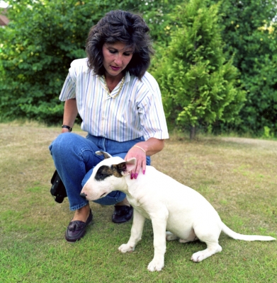 Marjorie With Pau as a Puppy - Summer 1990
Anahtar kelimeler: English Bull Terrier Garden Pau Puppy Summer Whitecroft
