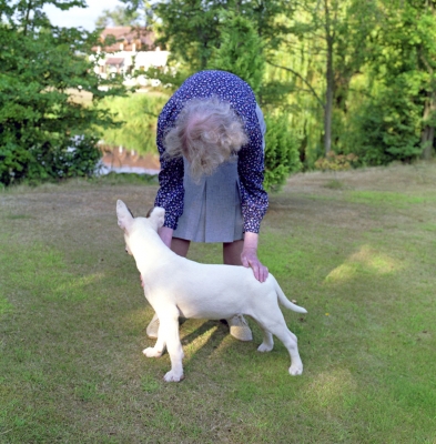 Pau and Auntie Jean
Palabras clave: Auntie Jean English Bull Terrier Garden Jean Charles Pau Pond Summer Whitecroft