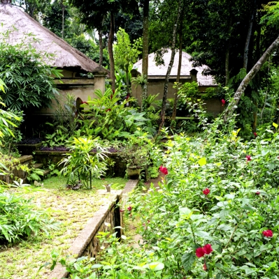 Amandari Hotel - Ubud, Bali
We spent a relaxing few days at the Amadari.
Anahtar kelimeler: Amandari Hotel Ubud Bali garden overgrown tropical rainforest rain Indonesia