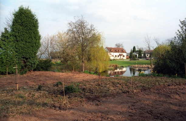 Replacing the Lawn at Whitecroft - Spring 1991
Looking across our pond to Sandpits Farm.
Palabras clave: Clay Dirt Excavation Garden Gardening Gardens Grass Lake Lawn Lawns Pond Sandpits Farm Water Whitecroft