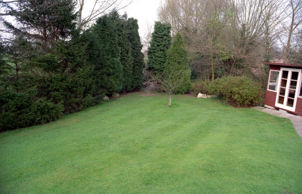 Back Lawn at Whitecroft - Spring 1991
With the small Wendy House that was used to store pool equipment.
Keywords: Garden Gardening Gardens Grass Lawn Lawns Wendy House