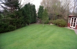 00870_n_7ab6ej2pz839.jpg
