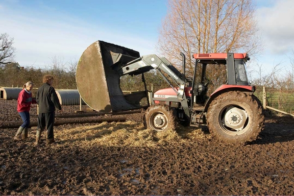 Moving the Pig Arc to the Fresh Straw Bed
Once over the bed of straw, the arc will be lowered by the tractor, and then turned right-side up.
Słowa kluczowe: animals hog hogs kalvin brookes land mammal land mammals lucies farm mud rain swine terrestrial mammal terrestrial mammals tractor animal wild boar boar boars cathy bushby