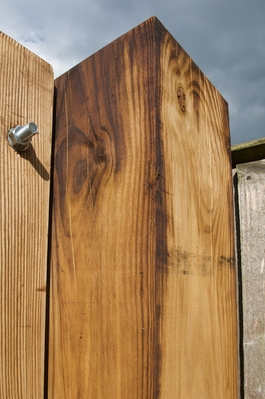 Southern Gate Post
Photographed from outside the gates.  Vertical cracks are shown.
Słowa kluczowe: southern gate post