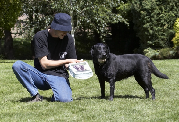 Think I'll have it later
Ключові слова: Birthday Cake Dog Dogs Ellie Grzegorz Labrador