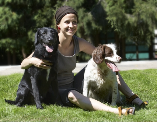 Ho hum, it's a dog's life
Keywords: Dog Dogs Jodie Labrador Lucy Petra Springer Spaniel Tongue