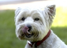 2q9w2708.jpg