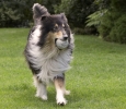 2q9w3095.jpg