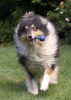 2q9w3101.jpg