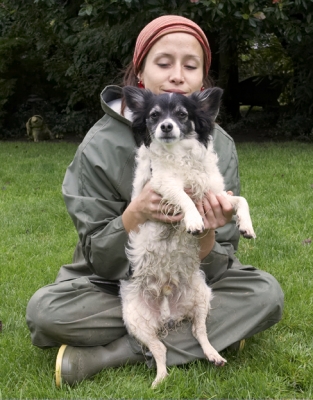 I s'pose you think this is funny!
Avainsanat: Dog Dogs Long Haired Chihuahua Matt Petra