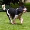 2q9w4189.jpg