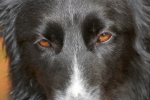 lq3v8027.jpg
