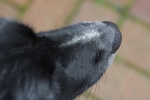 lq3v8029.jpg