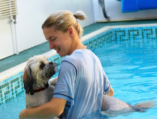 Hold me tight
Trefwoorden: Dog Dogs Hanka Lhasa Apso Monty Pool Swimming Trigger