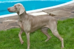 2q9w9747.jpg