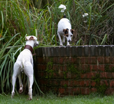 Wot you doin' up there?
