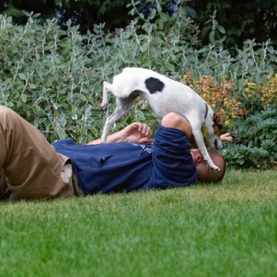 Hey, someone I can beat
Ključne besede: Dog Dogs Jack Russell Terrier Okii Terriers