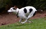 2q9w6226.jpg