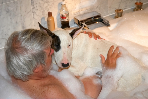 Hmmmm, I'm not sure about this
Schlüsselwörter: Bath Bathroom Bubbles Craig Dog Dogs English Bull Terrier Mana Terriers