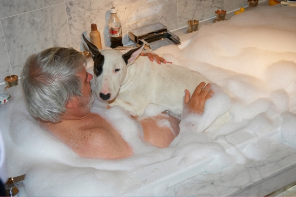 Hold me tight..........
Anahtar kelimeler: Bath Bathroom Bubbles Craig Dog Dogs English Bull Terrier Mana Terriers