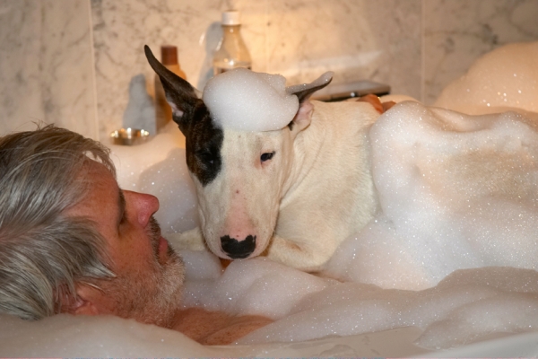 'Spose you think this is funny
Keywords: Bath Bathroom Bubbles Craig Dog Dogs English Bull Terrier Mana Terriers