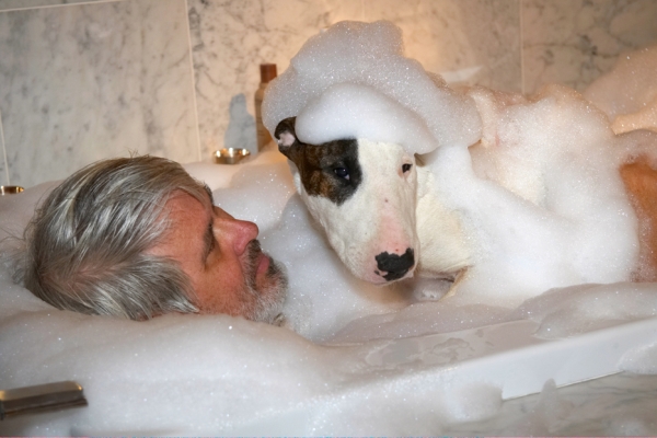 Not sure this shampooing is all it's cracked up to be
Palabras clave: Bath Bathroom Bubbles Craig Dog Dogs English Bull Terrier Mana Terriers