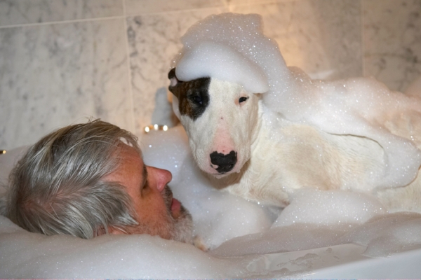 Do I look humiliated?!
Anahtar kelimeler: Bath Bathroom Bubbles Craig Dog Dogs English Bull Terrier Mana Terriers