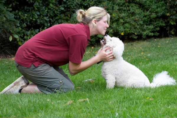 Kisses from a pretty girl..........
Schlüsselwörter: Bichon Frise Dillon Dog Dogs Laura Tongue