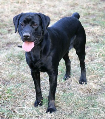 buddy-feb20.jpg