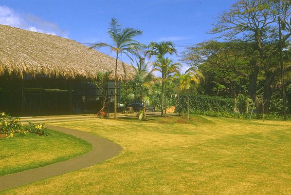 Hawaiian Island Flowers & Foliage - HIFF
This was Nana's florist business.  It was almost eight acres of nursery, plus a retail florist, all located on what is now the freeway interchange in Moanalua.  Tourists walked through the gardens in the back, which were gorgeous.  HIFF provided the flowers for many of the Elvis movies in Hawaii.  I loved the place because it had lots of padlocks that came with lots of keys.
Keywords: HIFF Hawaiian Island Flowers & Foliage Nana Moanalua freeway Elvis