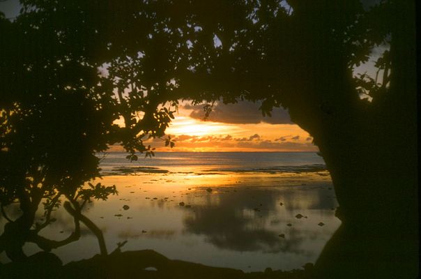 Sunset in Tahiti
1964
Schlüsselwörter: sunset Tahiti