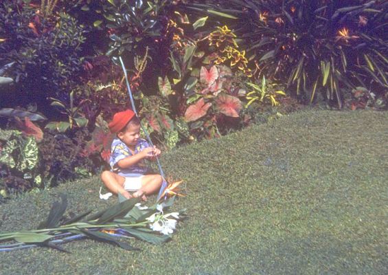 In The Garden -- Dowsett Avenue
I'm playing with cut flowers.  I'd guess this is late 1949 or early 1950, taken in the garden at 140 Dowsett Avenue.  The great expanse of lawn and garden that ultimately became (sadly) 156 Dowsett Avenue.
Trefwoorden: Craig garden 140 Dowsett Avenue cut flowers lawn