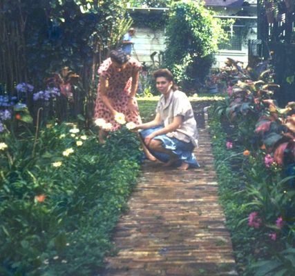 Garden Path at Kealaolu Avenue, Kahala
Nana and my mother, Shirley, examining the flowers on the garden path at Kealaolu Avenue in Kahala.  My guess is this is from the mid 1940's.  Nana and Baba sold their Kealaolu Avenue house circa 1947, and felt they had enough money to move into a hotel for the rest of their lives.  And that's what they did:  they moved into the Niumalu Hotel, on the site of the present Hilton Hawaiian Village.  That lasted about a year.
Keywords: Kealaolu Avenue Kahala Nana Shirley Niumalu Hotel Waikiki