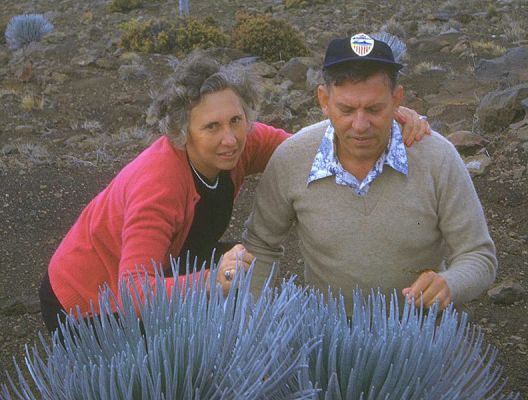Nana, Baba, and the Silversword
The only thing I know about this photograph of Nana and Baba is that it was taken at the top of Haleakala on Maui:  that's the only place where silversword grows.  There are other pictures in the same series featuring people I don't know.  All seem to have the same logo on their caps.  I tried zooming in on it, but couldn't make out what it was.  Circa 1947 or so.
Palabras Clave: Silversword Haleakala Maui Nana Baba