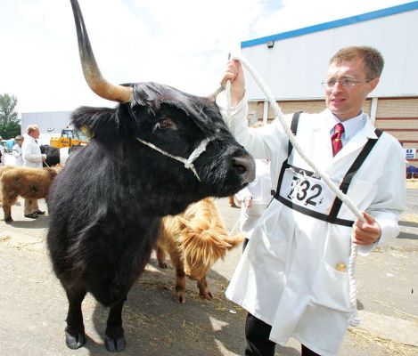 Black Bull -- Woodneuk Fold -- Royal Show 2005
I took this photograph of a regal Highland black bull waiting to go into the show ring.  The gentleman gave me his card:  he's Tom Thomson from the Woodneuk Fold in Glasgow.
Palabras Clave: black highland bull Woodneuk Fold Tom Thomson