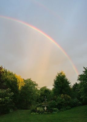 Rainbow Over Whitecroft
Marjorie and I were watching TV when suddenly we spotted this huge rainbow over our front garden.
Klíčová slova: rainbow Whitecroft front garden