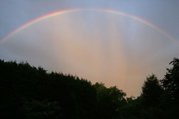 Rainbow Over Whitecroft
Słowa kluczowe: rainbow Whitecroft front garden