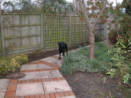 On the Path
This path runs from the dog hotel to the stable yard --- and from there, to the woods.
Keywords: dog, path, woods