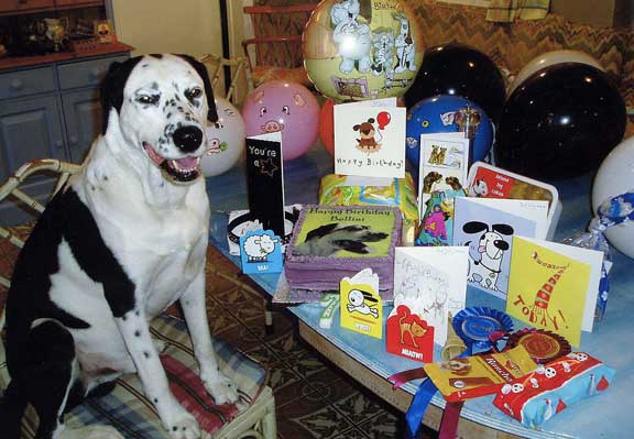 Bellini's Birthday Party
Bellini with this cards, presents, and his birthday cake.
Λέξεις-κλειδιά: Bellini birthday cake doggie dog cake
