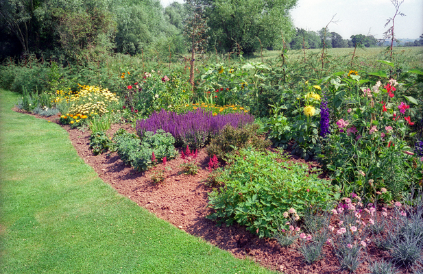 English Country Garden
The back flower garden at Whitecroft, planted by Kevin Howdle.
Keywords: Whitecroft summer garden Kevin Howdle