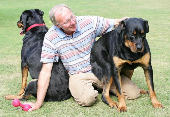 Missy, Vic, and Ronan
Ключові слова: Missy Vic Ronan Rottweiler Lucies Farm dog hotel dog kennel dog boarding