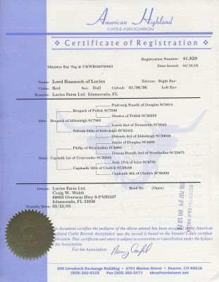 Lord Rannoch's American Highland Pedigree
Lord Rannoch of Lucies is now registered with the [url=http://www.highlandcattleusa.org]American Highland Cattle Association[/url] (registration 41,829).  Here is a copy of his Certificate of Registration.
Keywords: Rannoch American Highland Cattle Association registration certificate