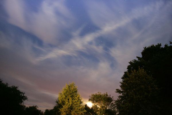 Big "A" In The Sky, By Moonlight
Crossed jet streams?  Or just a mysterious big A?  Something to contemplate on a warm summer evening in the front garden.
Keywords: A Whitecroft jet stream summer evening moonlight